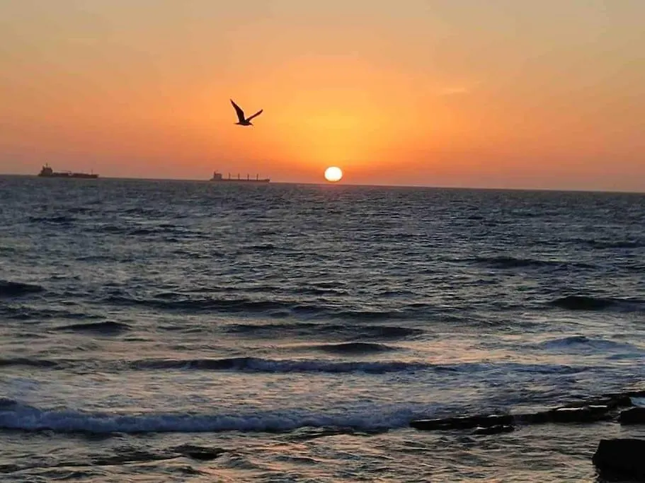 Beach View Apartment & Surf Αγκαντίρ